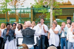 Baarn2