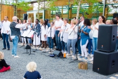 Baarn3